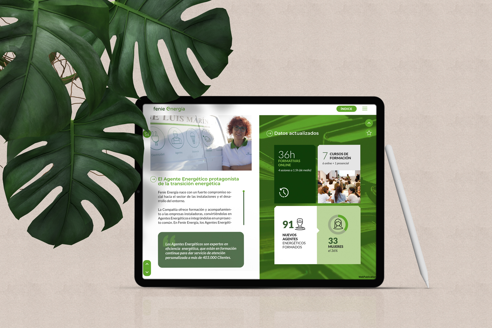 feine-energia-blog-2